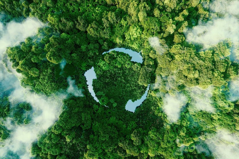 Sustainability at True: How OEM Parts Support Greener Refrigeration