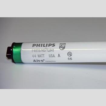 LAMP - Part #: 801168