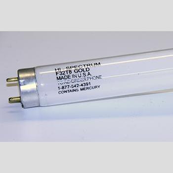 LAMP - Part #: 801166