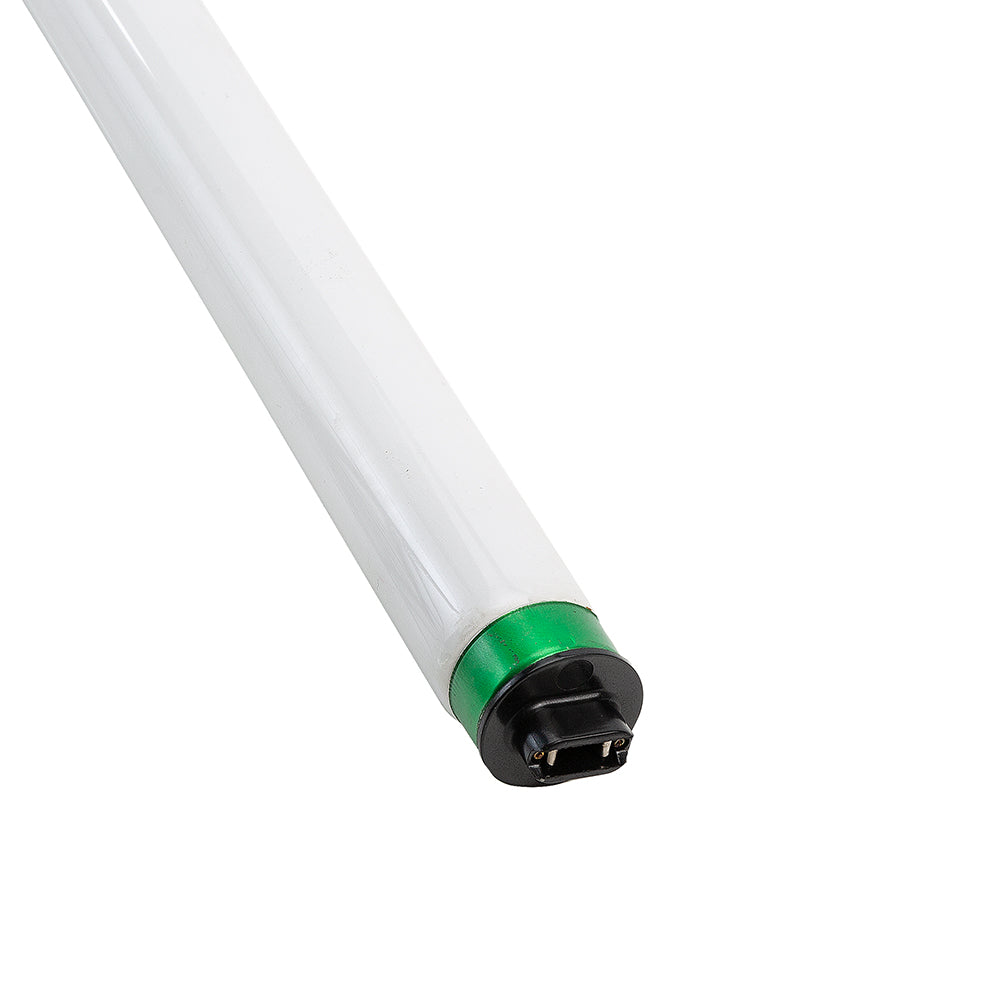 LAMP - Part #: 801168